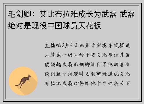 毛剑卿：艾比布拉难成长为武磊 武磊绝对是现役中国球员天花板