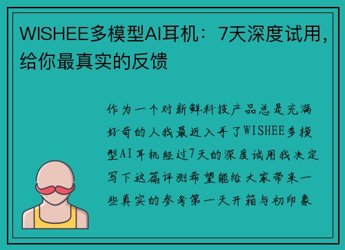 WISHEE多模型AI耳机：7天深度试用，给你最真实的反馈